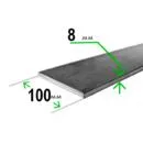 Полоса 100х8 мм